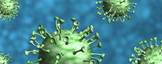 В Оренбургской области коронавирус подтвердился еще у 79 человек